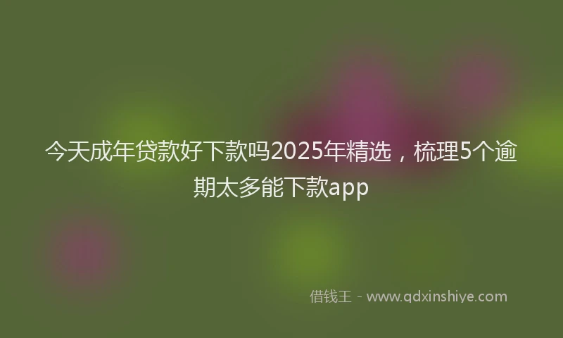 今天成年贷款好下款吗2025年精选，梳理5个逾期太多能下款app
