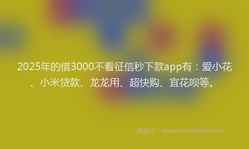 2025年的借3000不看征信秒下款app有：爱小花、小米贷款、龙龙用、超快购、宜花呗等。