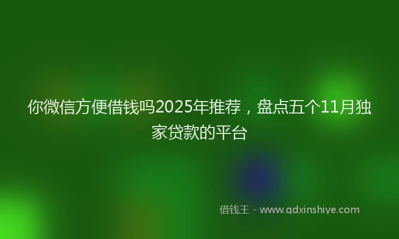 你微信方便借钱吗2025年推荐，盘点五个11月独家贷款的平台