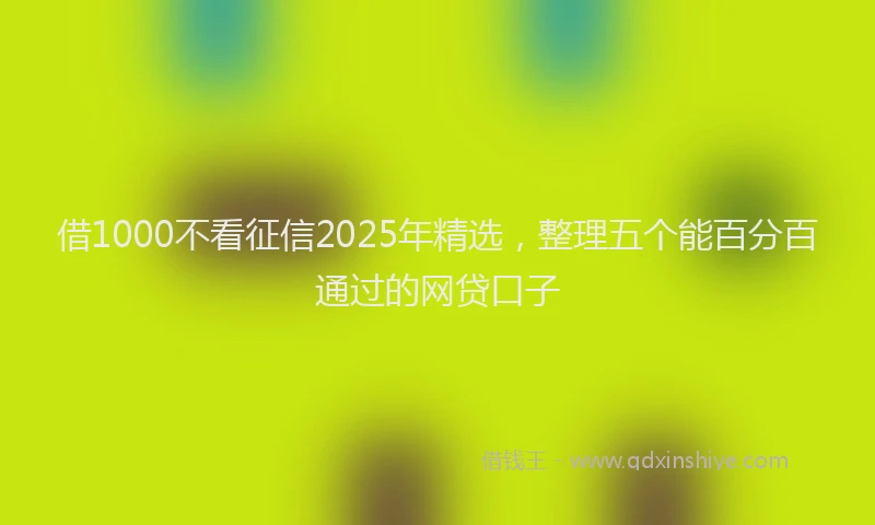 借1000不看征信2025年精选，整理五个能百分百通过的网贷口子