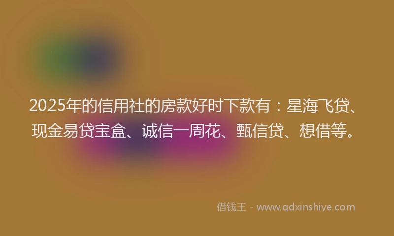 2025年的信用社的房款好时下款有：星海飞贷、现金易贷宝盒、诚信一周花、甄信贷、想借等。