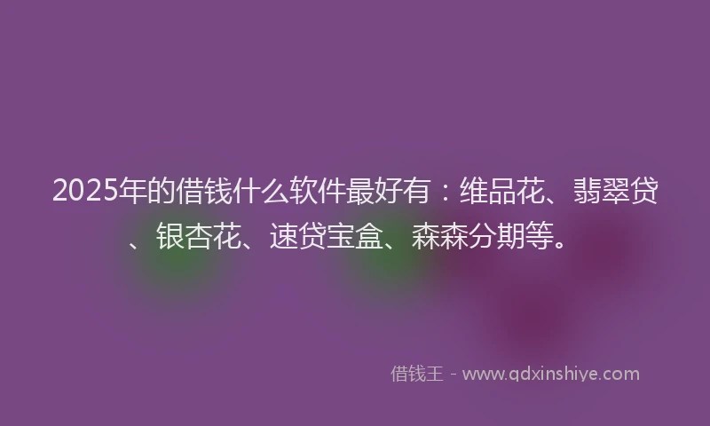 2025年的借钱什么软件最好有：维品花、翡翠贷、银杏花、速贷宝盒、森森分期等。