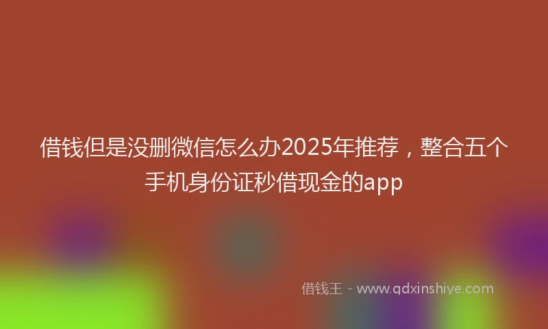 借钱但是没删微信怎么办2025年推荐，整合五个手机身份证秒借现金的app