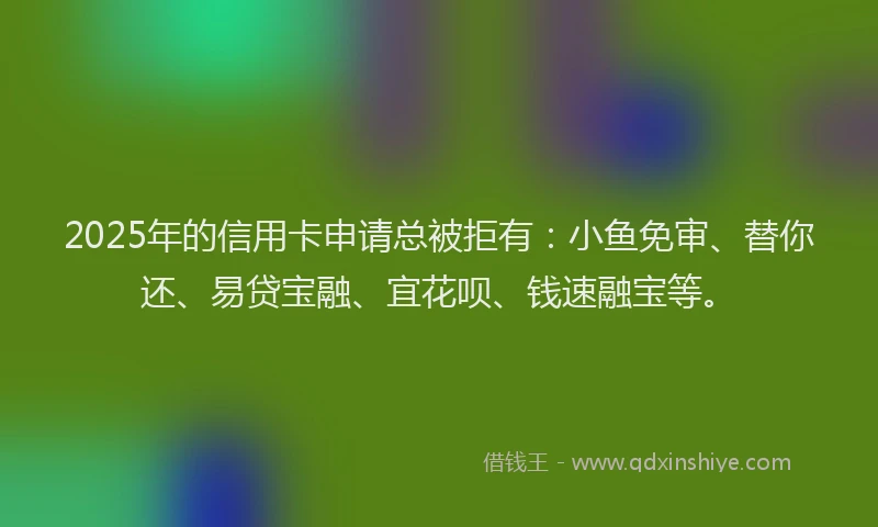 2025年的信用卡申请总被拒有：小鱼免审、替你还、易贷宝融、宜花呗、钱速融宝等。