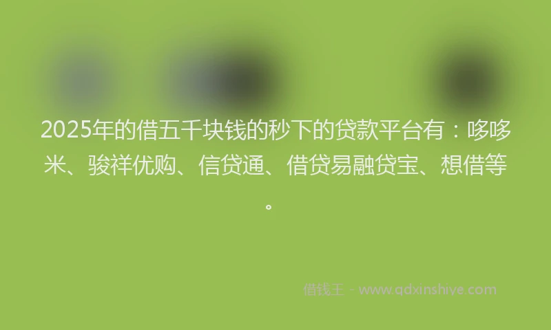 2025年的借五千块钱的秒下的贷款平台有：哆哆米、骏祥优购、信贷通、借贷易融贷宝、想借等。