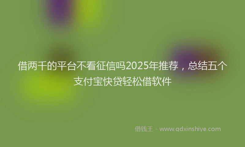 借两千的平台不看征信吗2025年推荐，总结五个支付宝快贷轻松借软件