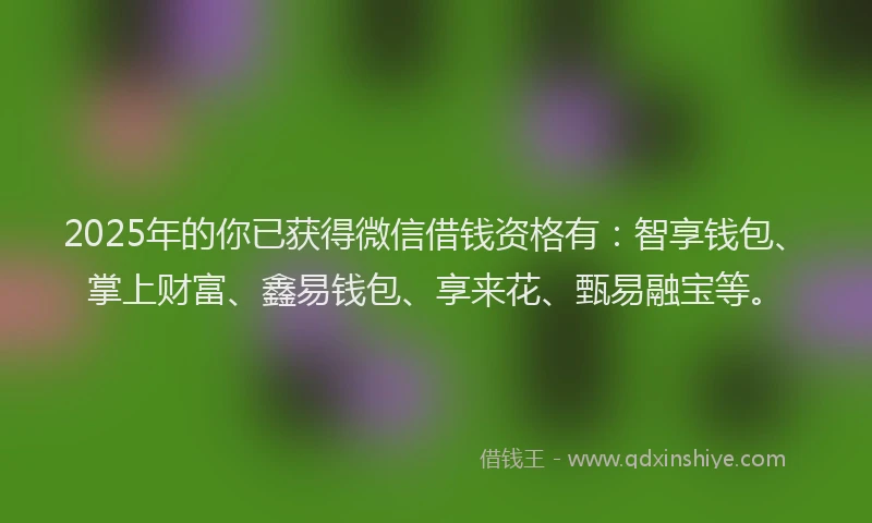 2025年的你已获得微信借钱资格有：智享钱包、掌上财富、鑫易钱包、享来花、甄易融宝等。