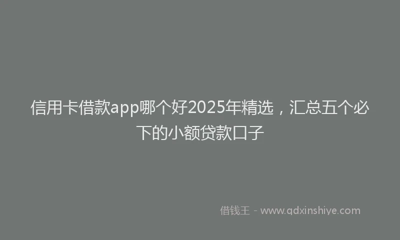 信用卡借款app哪个好2025年精选，汇总五个必下的小额贷款口子