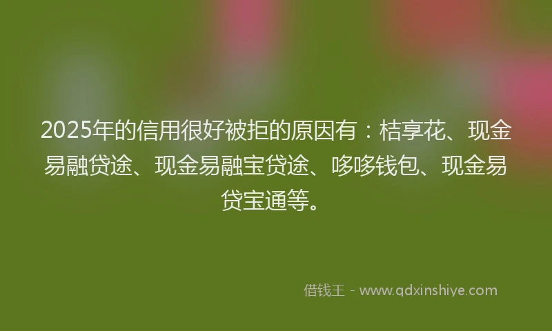 2025年的信用很好被拒的原因有：桔享花、现金易融贷途、现金易融宝贷途、哆哆钱包、现金易贷宝通等。