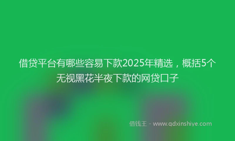 借贷平台有哪些容易下款2025年精选，概括5个无视黑花半夜下款的网贷口子