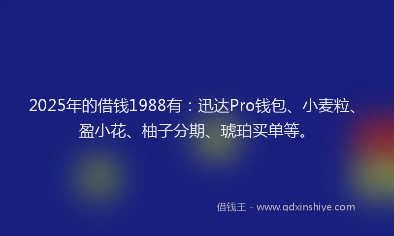 2025年的借钱1988有：迅达Pro钱包、小麦粒、盈小花、柚子分期、琥珀买单等。