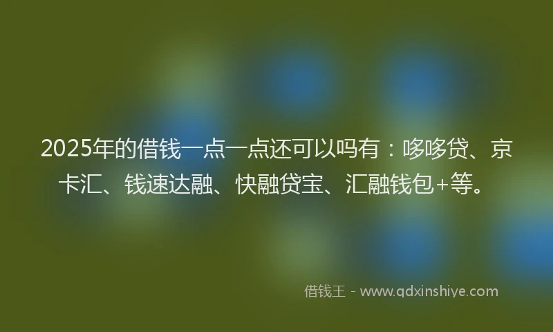 2025年的借钱一点一点还可以吗有：哆哆贷、京卡汇、钱速达融、快融贷宝、汇融钱包+等。