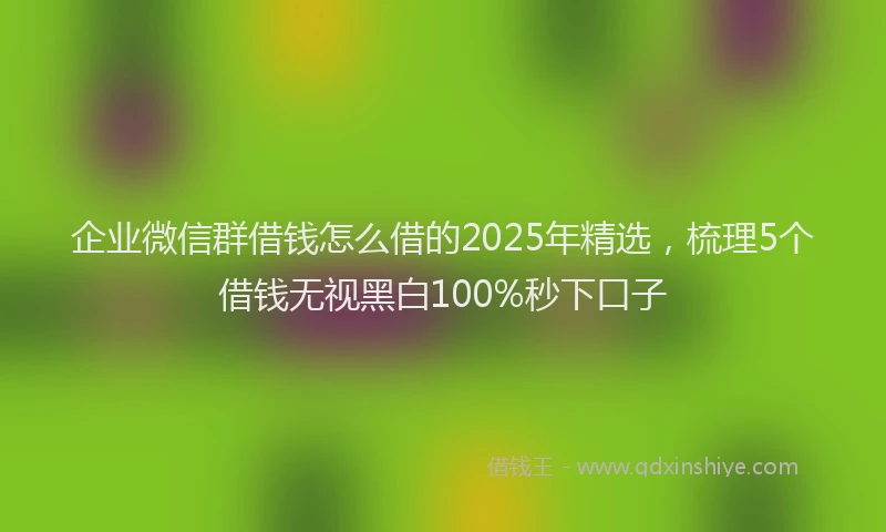 企业微信群借钱怎么借的2025年精选，梳理5个借钱无视黑白100%秒下口子