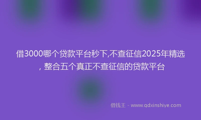 借3000哪个贷款平台秒下,不查征信2025年精选，整合五个真正不查征信的贷款平台