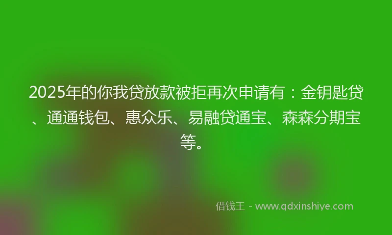 2025年的你我贷放款被拒再次申请有：金钥匙贷、通通钱包、惠众乐、易融贷通宝、森森分期宝等。