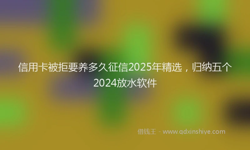 信用卡被拒要养多久征信2025年精选，归纳五个2024放水软件