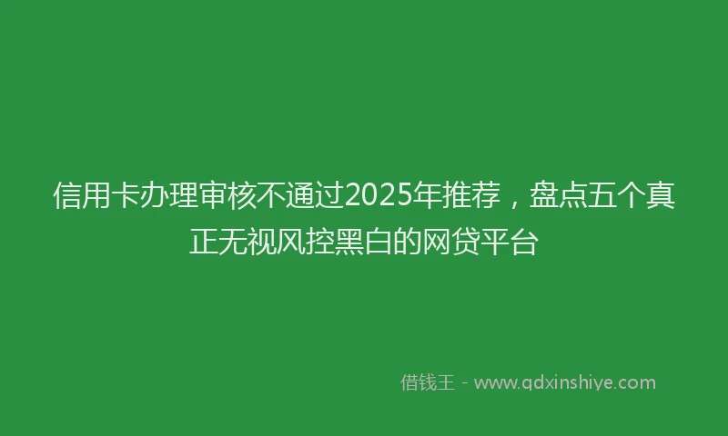 信用卡办理审核不通过2025年推荐，盘点五个真正无视风控黑白的网贷平台
