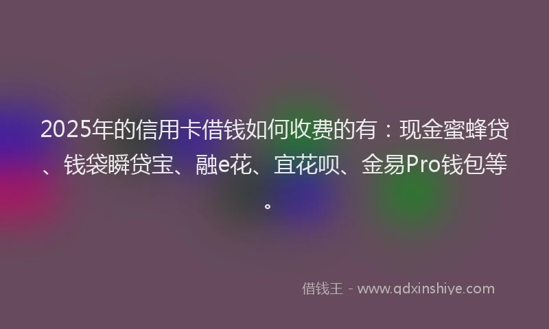 2025年的信用卡借钱如何收费的有：现金蜜蜂贷、钱袋瞬贷宝、融e花、宜花呗、金易Pro钱包等。