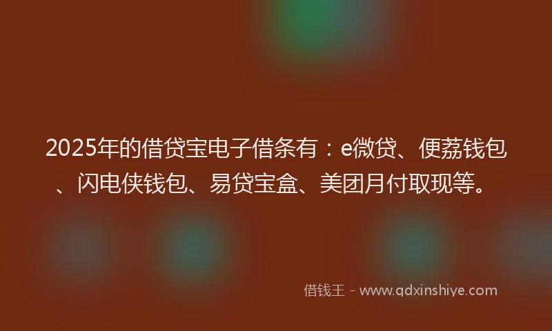 2025年的借贷宝电子借条有：e微贷、便荔钱包、闪电侠钱包、易贷宝盒、美团月付取现等。