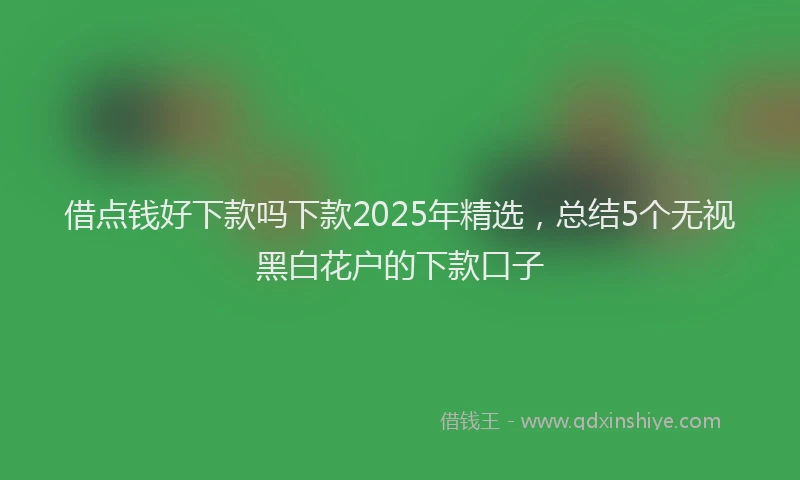 借点钱好下款吗下款2025年精选，总结5个无视黑白花户的下款口子