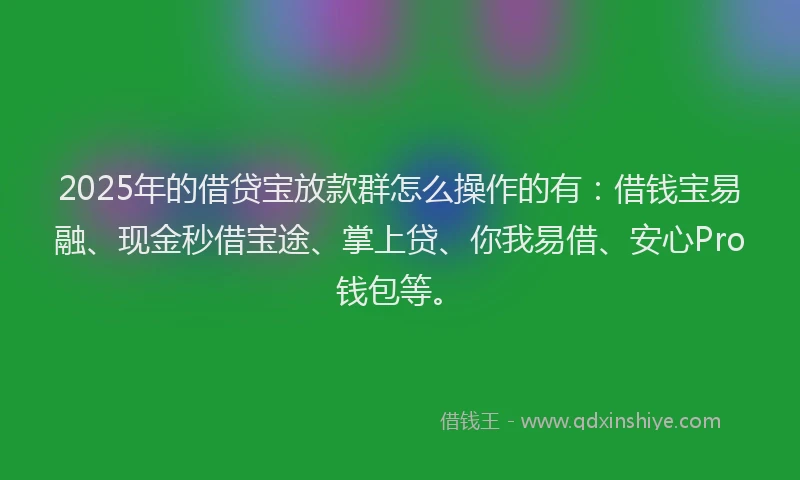 2025年的借贷宝放款群怎么操作的有：借钱宝易融、现金秒借宝途、掌上贷、你我易借、安心Pro钱包等。