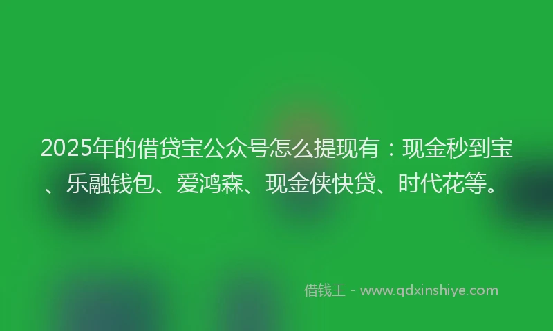 2025年的借贷宝公众号怎么提现有：现金秒到宝、乐融钱包、爱鸿森、现金侠快贷、时代花等。