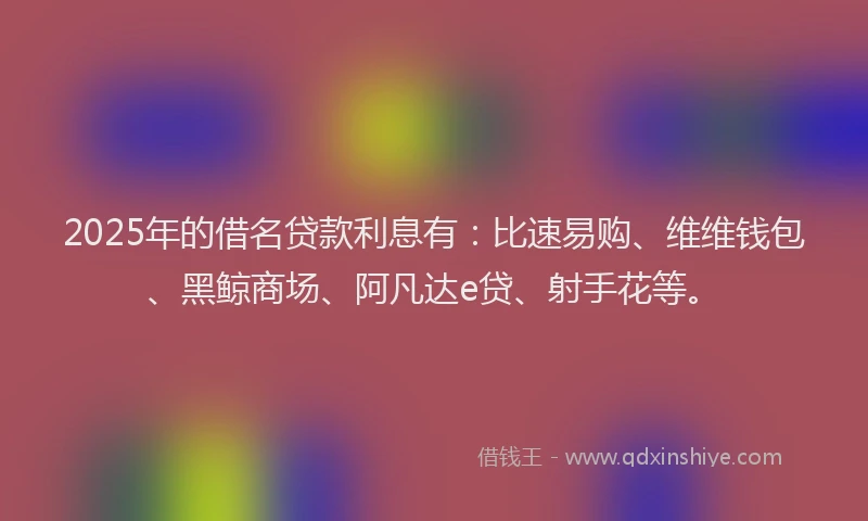 2025年的借名贷款利息有：比速易购、维维钱包、黑鲸商场、阿凡达e贷、射手花等。
