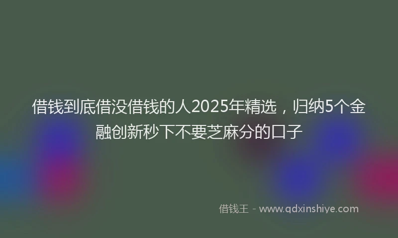 借钱到底借没借钱的人2025年精选，归纳5个金融创新秒下不要芝麻分的口子
