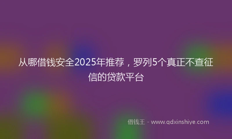 从哪借钱安全2025年推荐，罗列5个真正不查征信的贷款平台