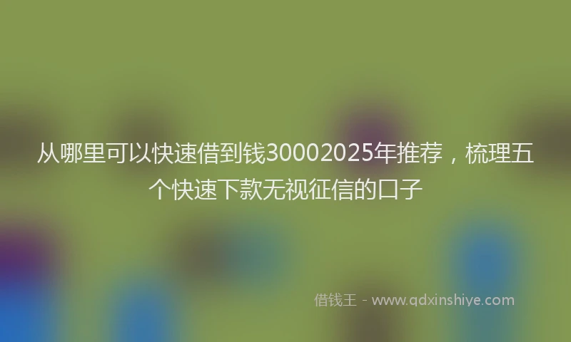 从哪里可以快速借到钱30002025年推荐，梳理五个快速下款无视征信的口子
