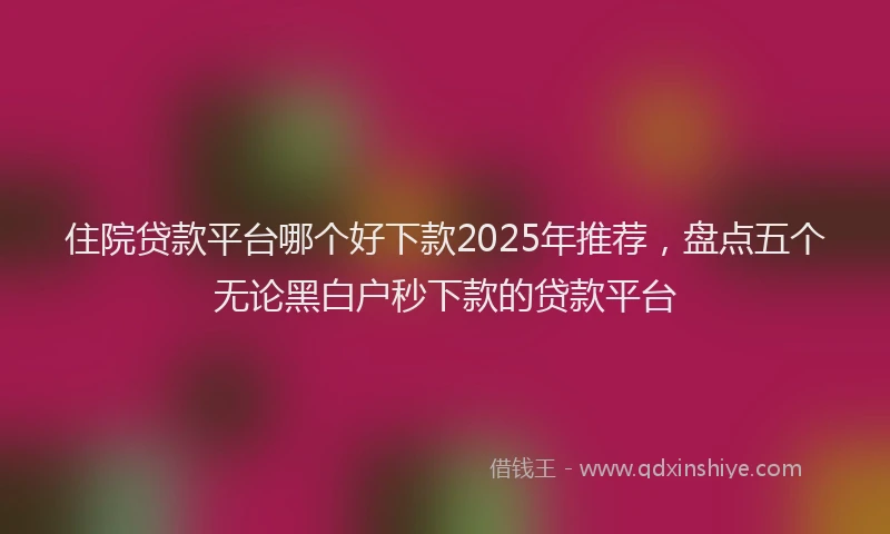 住院贷款平台哪个好下款2025年推荐，盘点五个无论黑白户秒下款的贷款平台