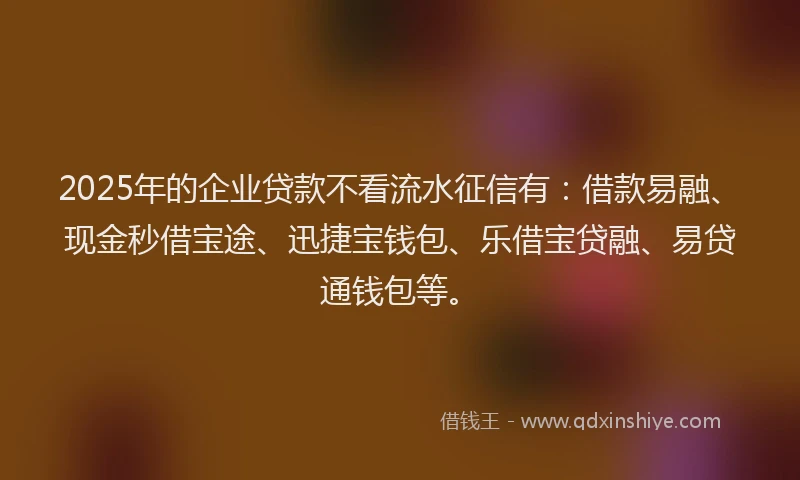 2025年的企业贷款不看流水征信有：借款易融、现金秒借宝途、迅捷宝钱包、乐借宝贷融、易贷通钱包等。
