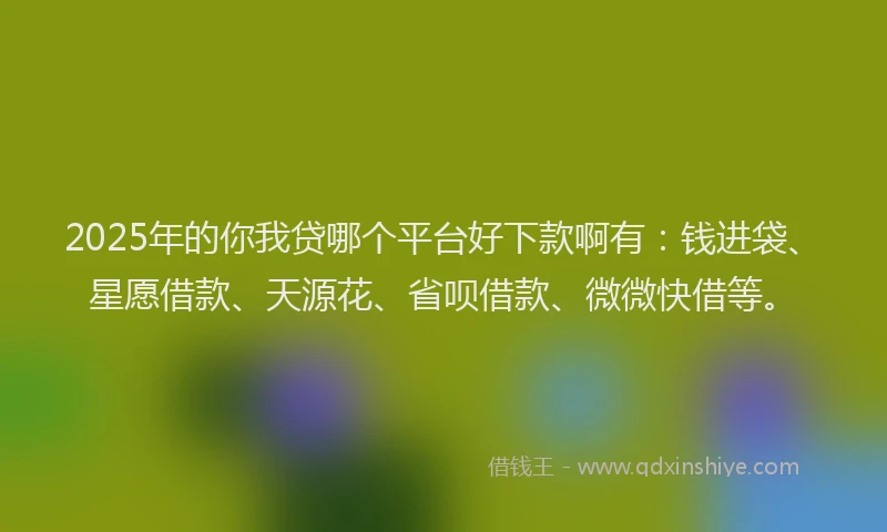 2025年的你我贷哪个平台好下款啊有：钱进袋、星愿借款、天源花、省呗借款、微微快借等。