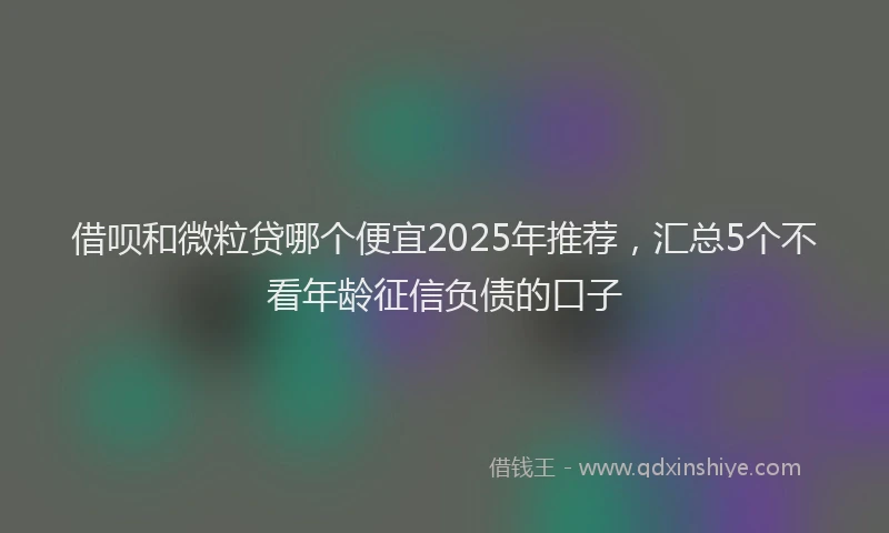 借呗和微粒贷哪个便宜2025年推荐，汇总5个不看年龄征信负债的口子