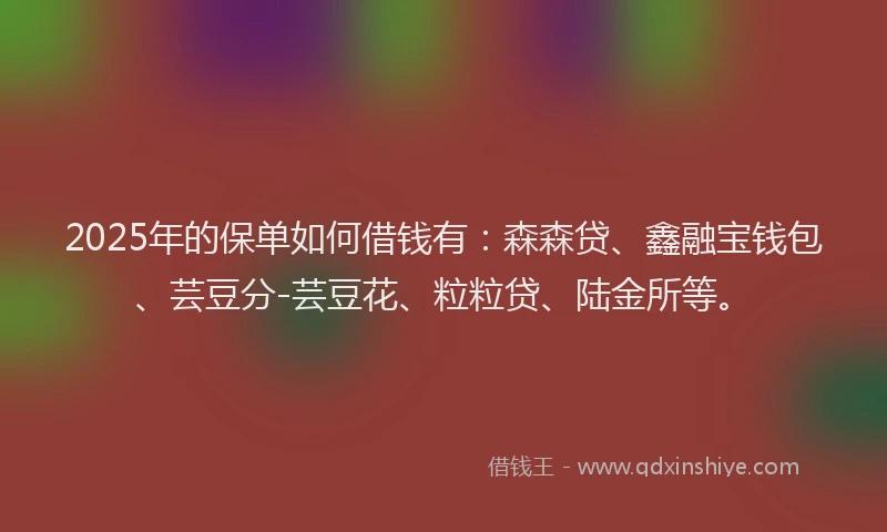 2025年的保单如何借钱有：森森贷、鑫融宝钱包、芸豆分-芸豆花、粒粒贷、陆金所等。