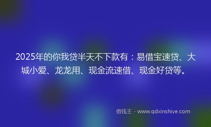 2025年的你我贷半天不下款有：易借宝速贷、大城小爱、龙龙用、现金流速借、现金好贷等。