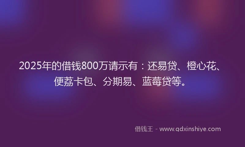 2025年的借钱800万请示有：还易贷、橙心花、便荔卡包、分期易、蓝莓贷等。