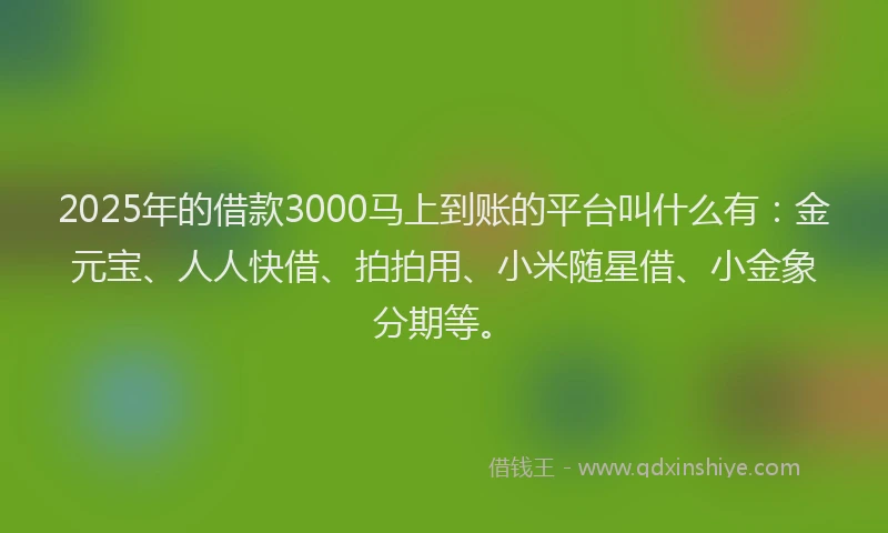 2025年的借款3000马上到账的平台叫什么有：金元宝、人人快借、拍拍用、小米随星借、小金象分期等。