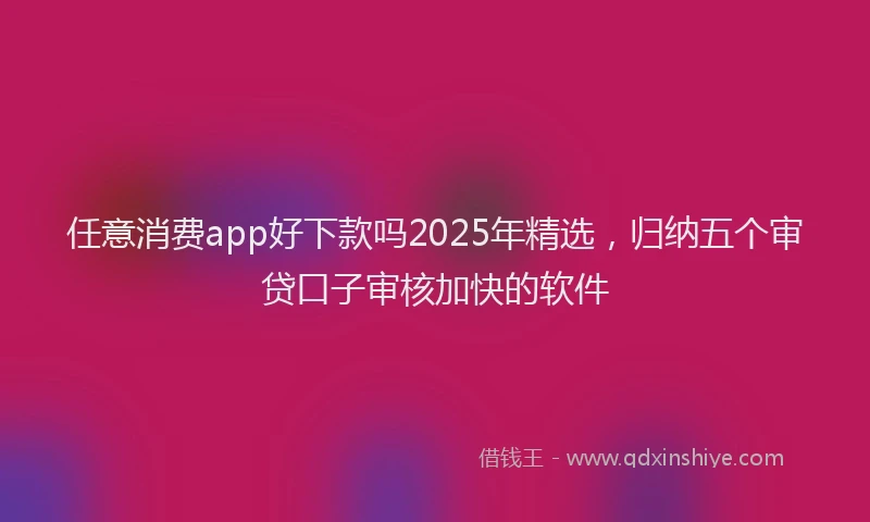 任意消费app好下款吗2025年精选，归纳五个审贷口子审核加快的软件