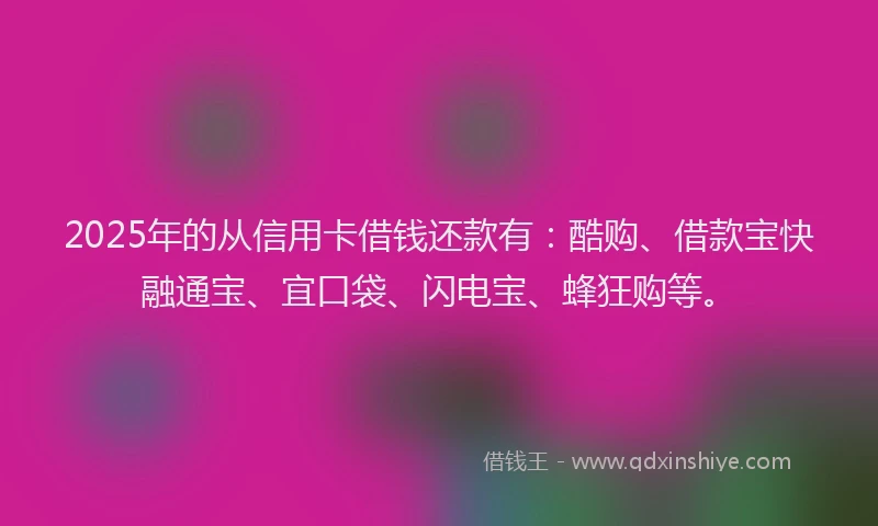 2025年的从信用卡借钱还款有：酷购、借款宝快融通宝、宜口袋、闪电宝、蜂狂购等。
