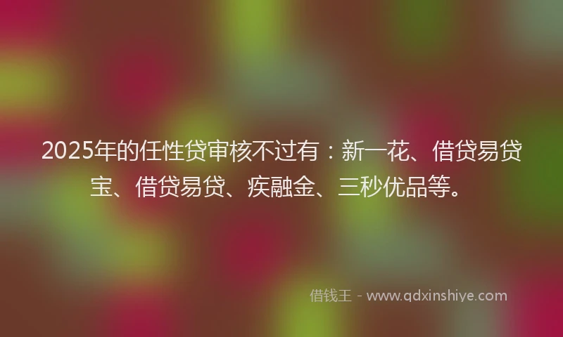 2025年的任性贷审核不过有：新一花、借贷易贷宝、借贷易贷、疾融金、三秒优品等。