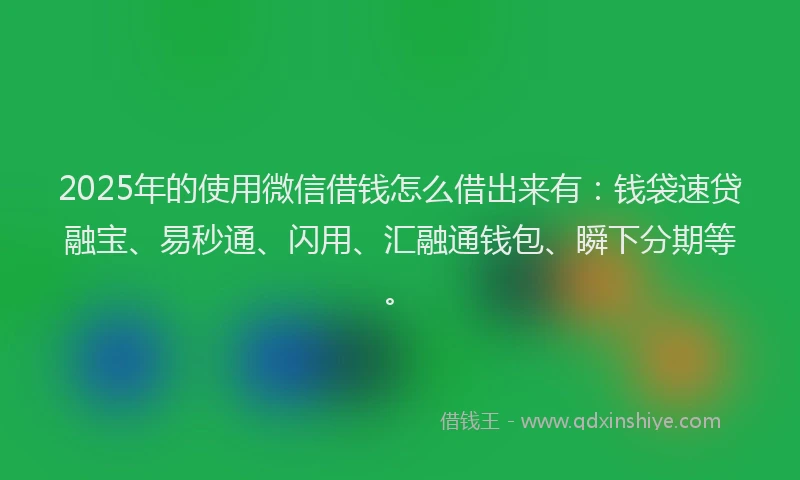 2025年的使用微信借钱怎么借出来有：钱袋速贷融宝、易秒通、闪用、汇融通钱包、瞬下分期等。