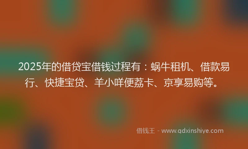 2025年的借贷宝借钱过程有：蜗牛租机、借款易行、快捷宝贷、羊小咩便荔卡、京享易购等。