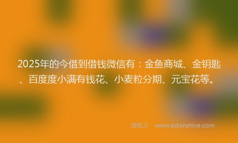 2025年的今借到借钱微信有：金鱼商城、金钥匙、百度度小满有钱花、小麦粒分期、元宝花等。