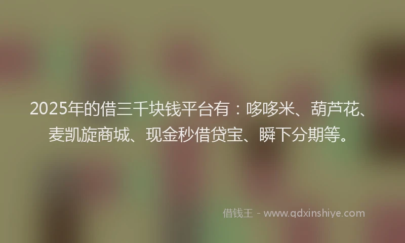 2025年的借三千块钱平台有：哆哆米、葫芦花、麦凯旋商城、现金秒借贷宝、瞬下分期等。