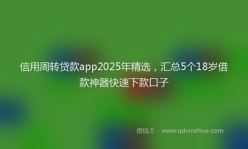 信用周转贷款app2025年精选，汇总5个18岁借款神器快速下款口子