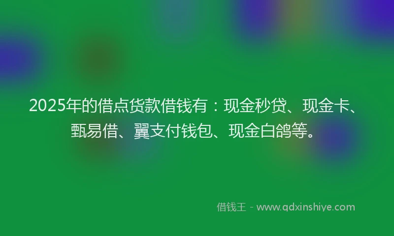 2025年的借点货款借钱有：现金秒贷、现金卡、甄易借、翼支付钱包、现金白鸽等。