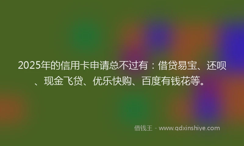 2025年的信用卡申请总不过有：借贷易宝、还呗、现金飞贷、优乐快购、百度有钱花等。