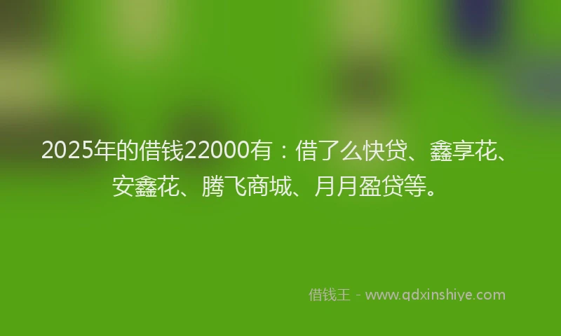2025年的借钱22000有：借了么快贷、鑫享花、安鑫花、腾飞商城、月月盈贷等。