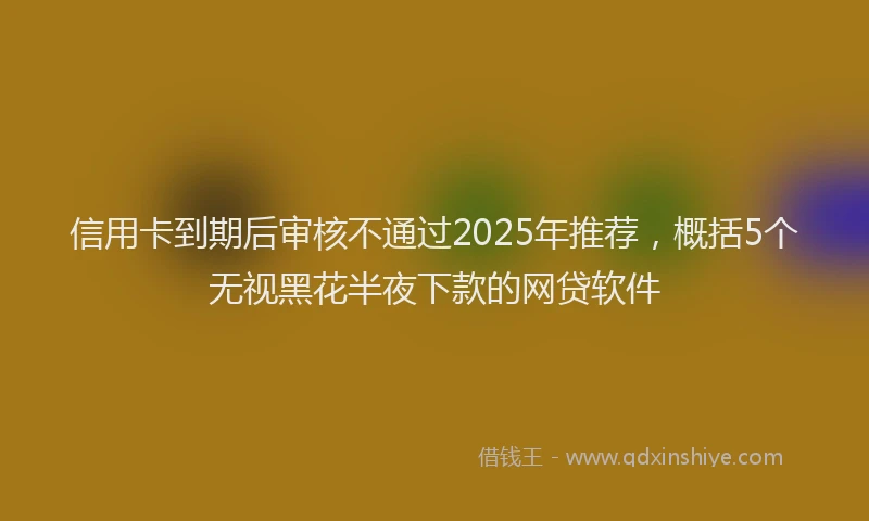 信用卡到期后审核不通过2025年推荐，概括5个无视黑花半夜下款的网贷软件